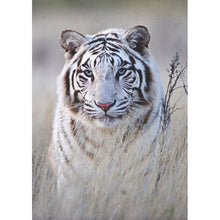 Charger l&#39;image dans la galerie, Tigre - diamant rond complet - 30x40cm

