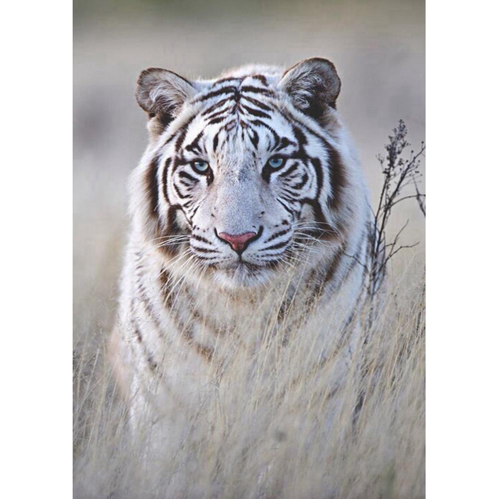 Tigre - diamant rond complet - 30x40cm