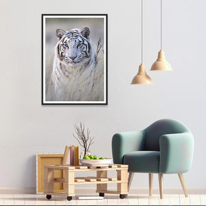 Tigre - diamant rond complet - 30x40cm