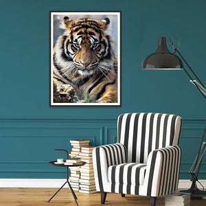 Tigre - diamant rond complet - 30x40cm