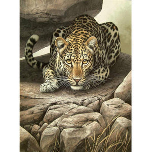 Tigre - diamant rond complet - 30x40cm