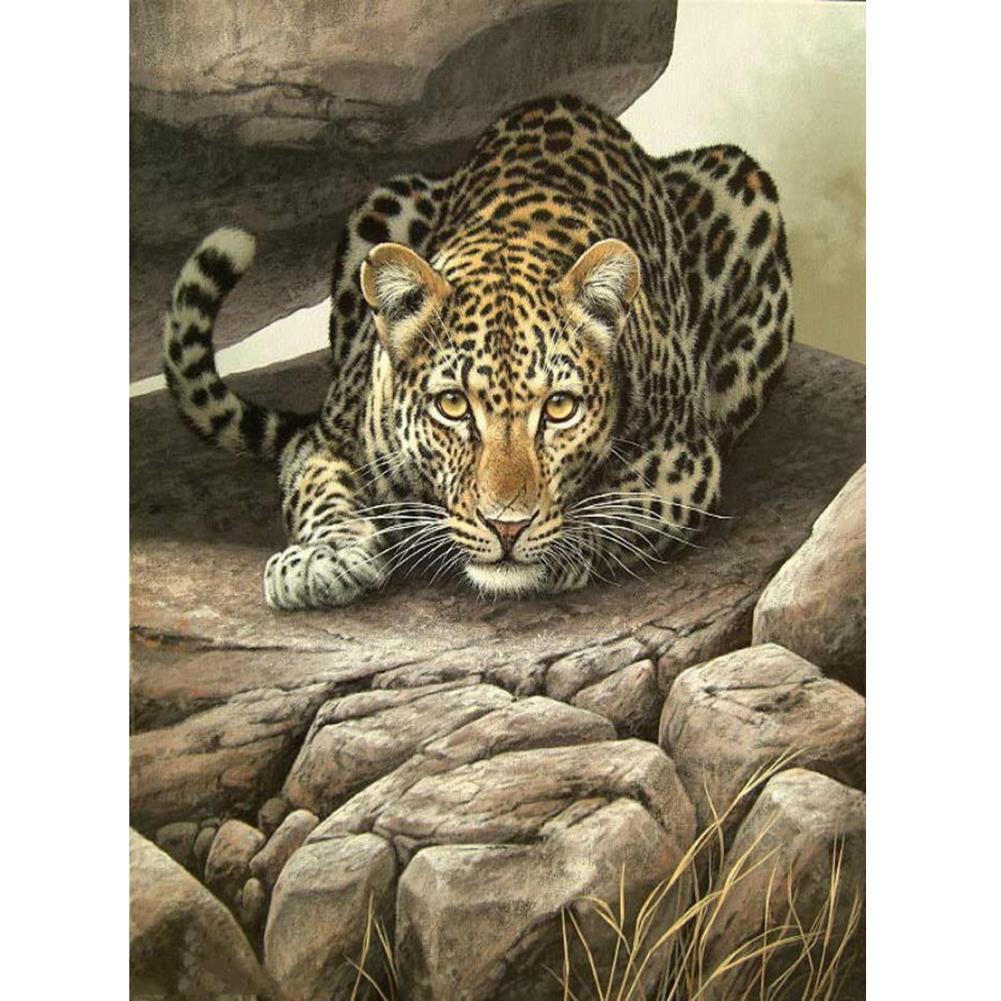 Tigre - diamant rond complet - 30x40cm