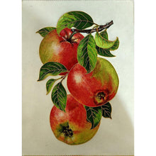 Charger l&#39;image dans la galerie, Fruit - diamant rond complet - 30x40cm
