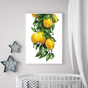 Fruit - diamant rond complet - 30x40cm