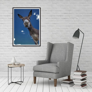 Animal - diamant rond complet - 30x40cm