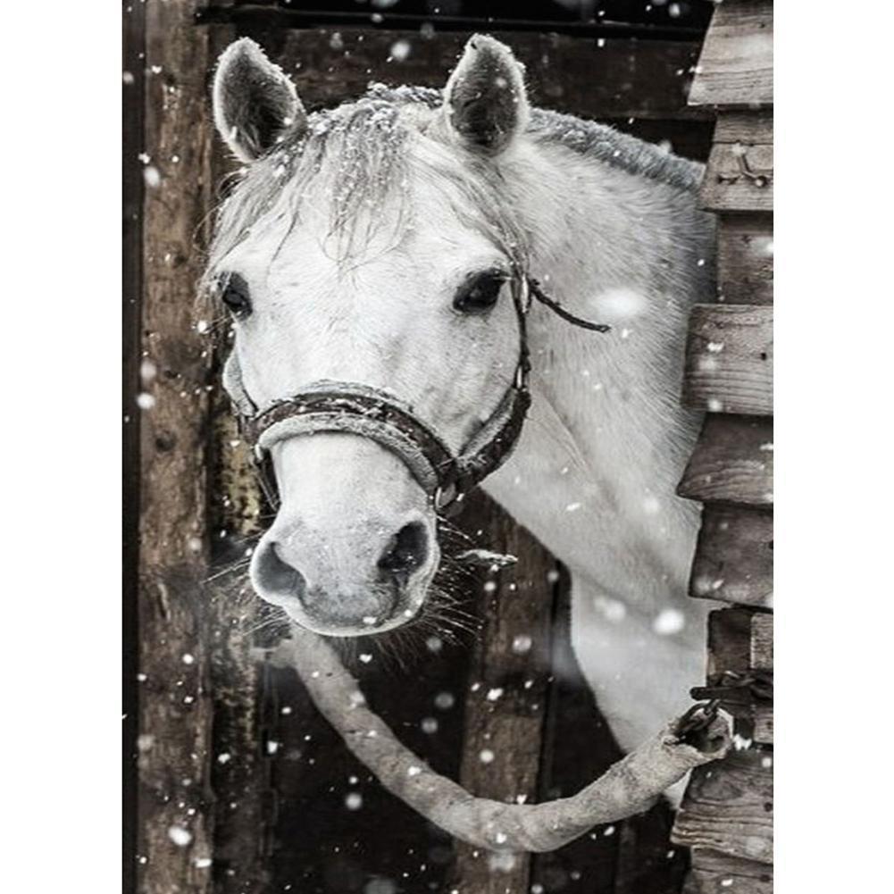 Cheval - diamant rond complet - 30x40cm