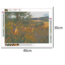 Charger l&#39;image dans la galerie, Nature de cerf - diamant rond complet - 40x30cm
