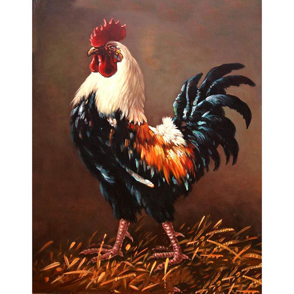 Coq - diamant rond complet - 30x40cm