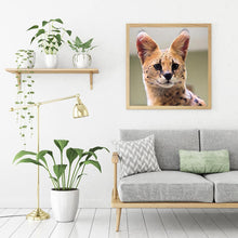 Charger l&#39;image dans la galerie, Chat - diamant rond complet - 30x30cm
