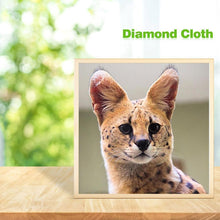 Charger l&#39;image dans la galerie, Chat - diamant rond complet - 30x30cm
