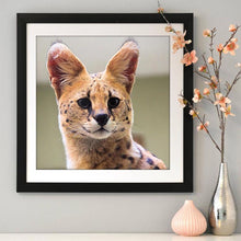 Charger l&#39;image dans la galerie, Chat - diamant rond complet - 30x30cm
