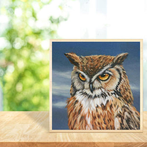 Glorpart hibou - diamant rond complet - 30x30cm