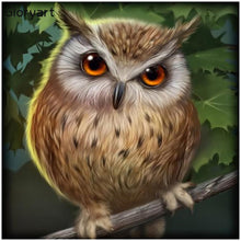 Charger l&#39;image dans la galerie, Glorpart hibou - diamant rond complet - 30x30cm
