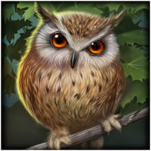 Charger l&#39;image dans la galerie, Glorpart hibou - diamant rond complet - 30x30cm

