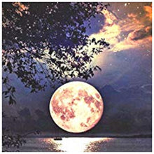 Charger l&#39;image dans la galerie, Lune - diamant plein rond - 30x30cm
