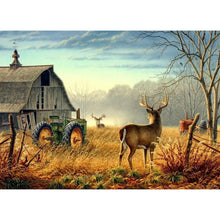 Charger l&#39;image dans la galerie, Fawn - diamant rond complet - 40x30cm
