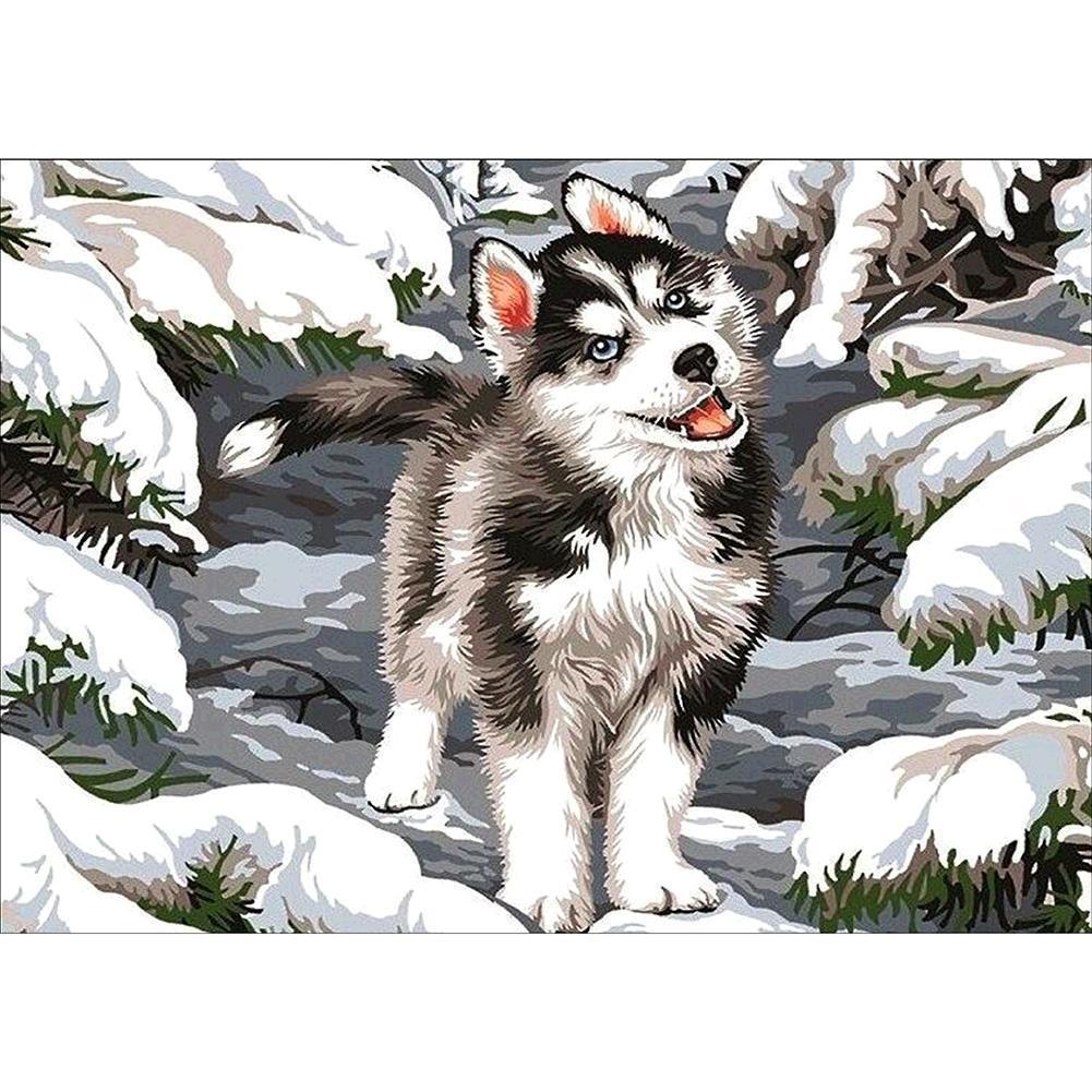 Loup - diamant rond complet - 30x40cm