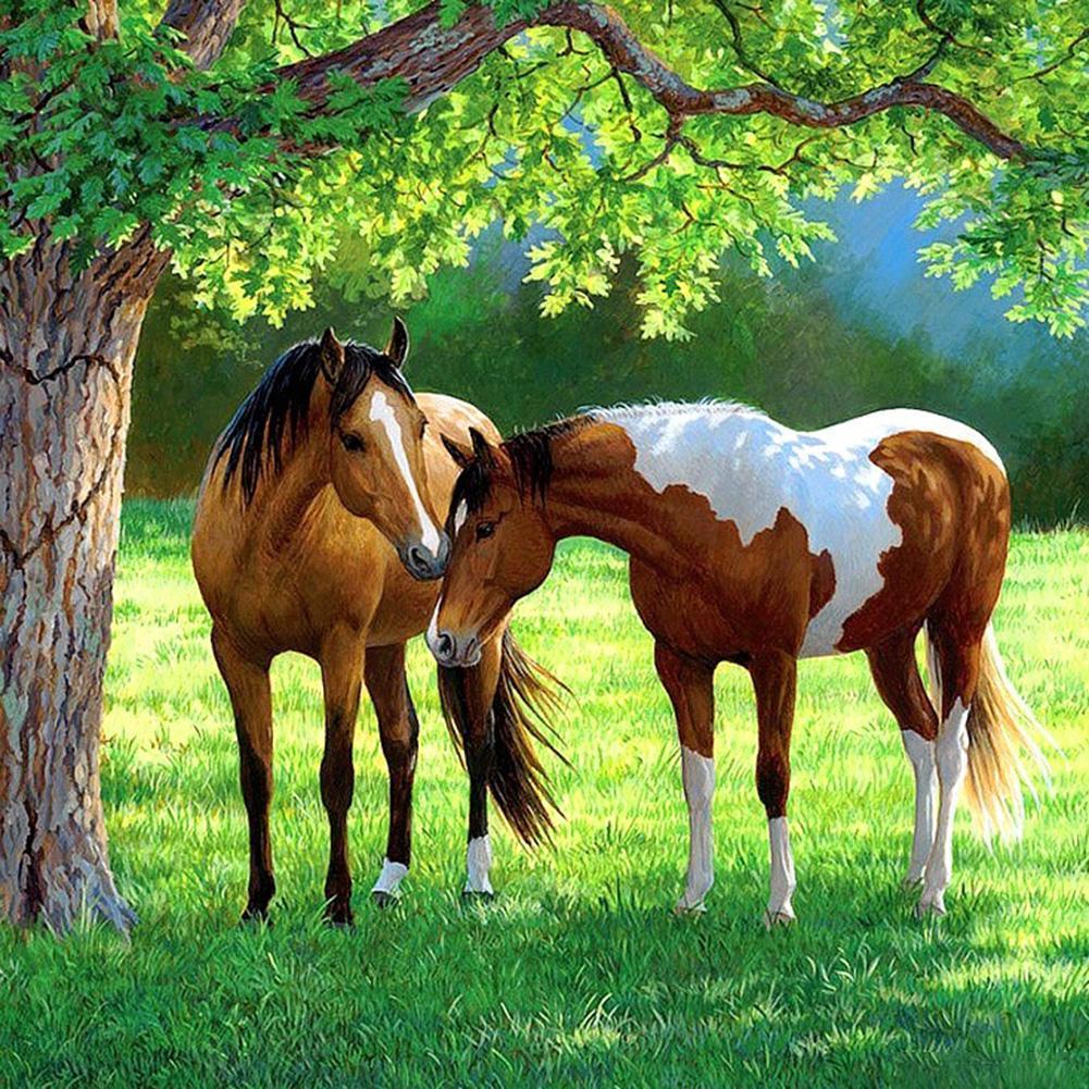 Cheval - diamant rond complet - 30x30cm