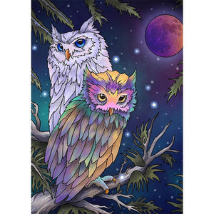 Hibou - diamant rond complet - 30x40cm