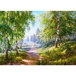 Paysage - peinture en diamant complet - 40x30cm