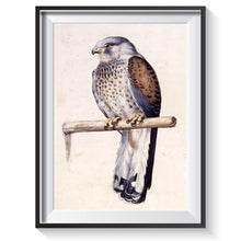 Charger l&#39;image dans la galerie, Oiseau - peinture en diamant complet - 40x30cm
