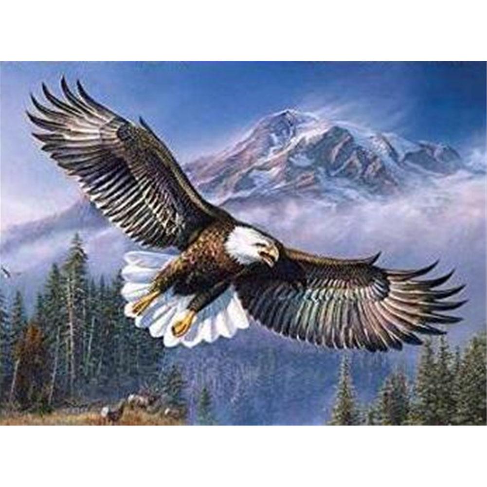 EagleWall - peinture en diamant complet - 40x30cm