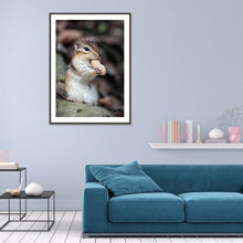 Charger l&#39;image dans la galerie, Écureuil - peinture en diamant complet - 30x40cm

