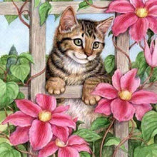 Charger l&#39;image dans la galerie, Chat - peinture en diamant complet - 30x30cm
