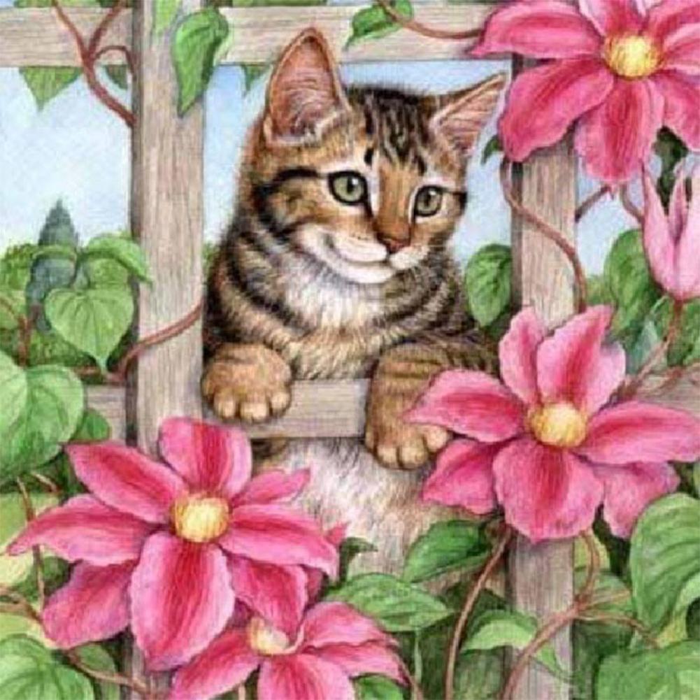 Chat - peinture en diamant complet - 30x30cm