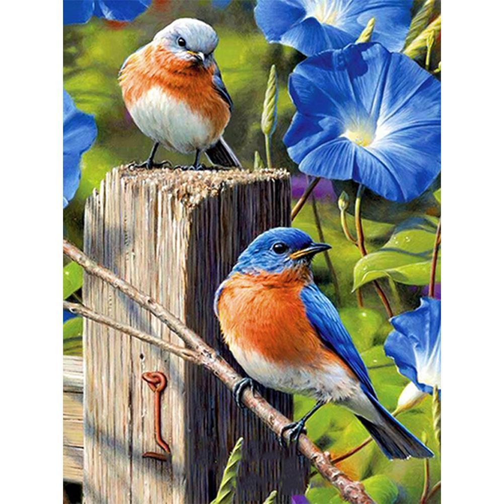 Oiseau - peinture en diamant complet - 40x30cm