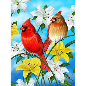 Oiseau - peinture en diamant complet - 40x30cm