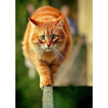 Charger l&#39;image dans la galerie, Chat - peinture en diamant complet - 30x40cm

