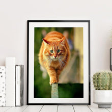 Charger l&#39;image dans la galerie, Chat - peinture en diamant complet - 30x40cm
