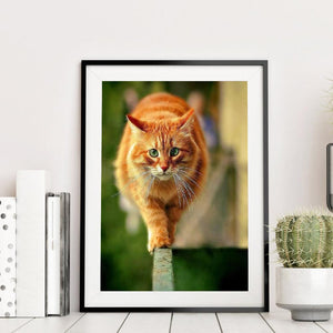 Chat - peinture en diamant complet - 30x40cm