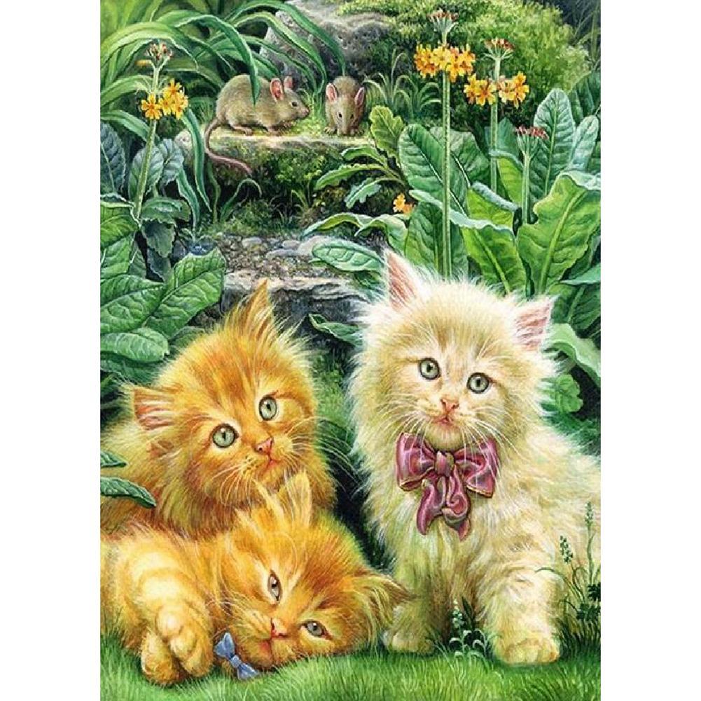 Chat - peinture en diamant complet - 30x40cm