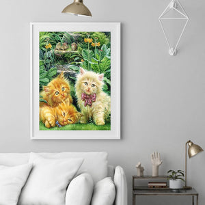 Chat - peinture en diamant complet - 30x40cm