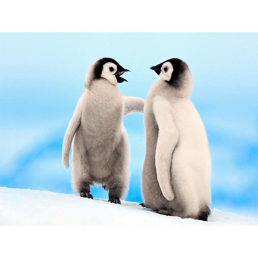 Pingouin - diamant rond complet - 40x30cm