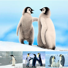 Charger l&#39;image dans la galerie, Pingouin - diamant rond complet - 40x30cm
