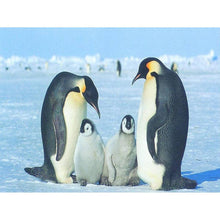 Charger l&#39;image dans la galerie, Pingouin - diamant rond complet - 40x30cm
