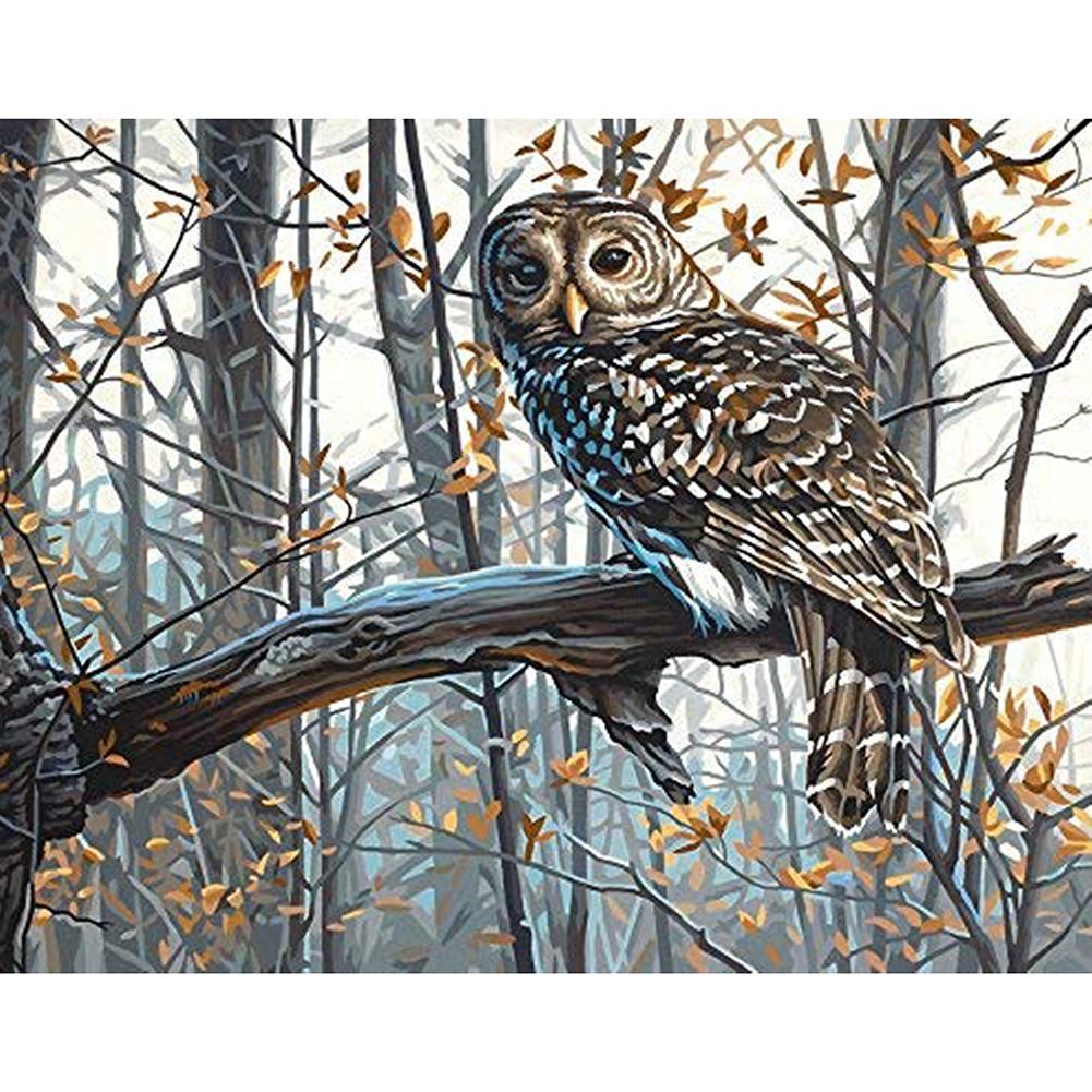 Oiseau - peinture en diamant complet - 40x30cm