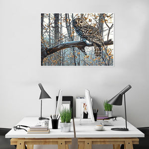 Oiseau - peinture en diamant complet - 40x30cm