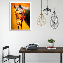 Charger l&#39;image dans la galerie, Cheval - peinture en diamant complet - 40x30cm
