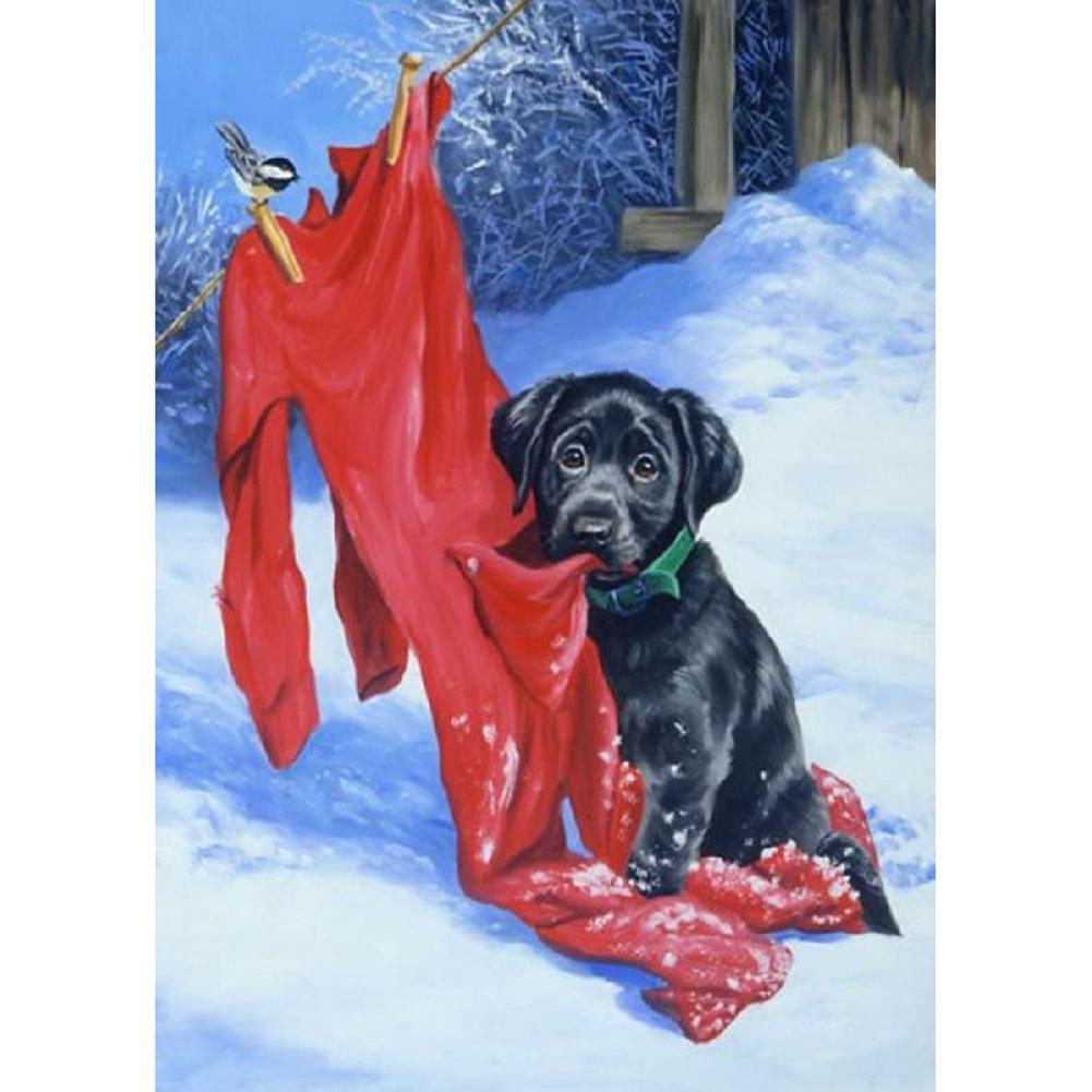 Chien - peinture en diamant complet - 40x30cm