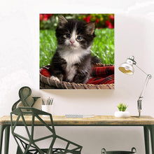 Charger l&#39;image dans la galerie, Beau chat - peinture en diamant complet - 30x30cm
