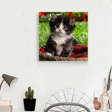 Charger l&#39;image dans la galerie, Beau chat - peinture en diamant complet - 30x30cm
