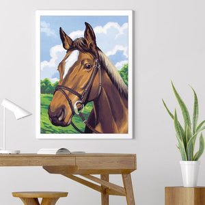 Cheval - peinture en diamant complet - 30x40cm