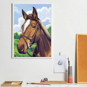 Cheval - peinture en diamant complet - 30x40cm