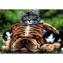 Charger l&#39;image dans la galerie, Chat de chien - peinture complète de diamant - 40x30cm
