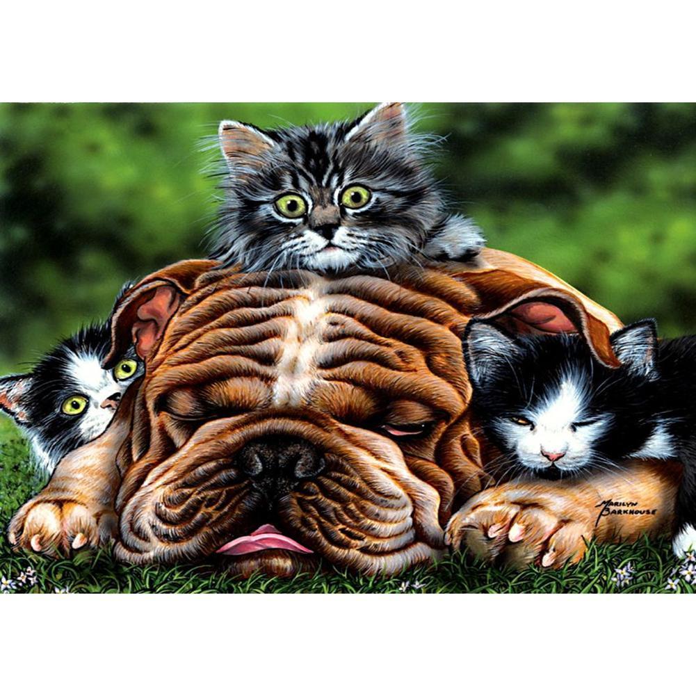 Chat de chien - peinture complète de diamant - 40x30cm