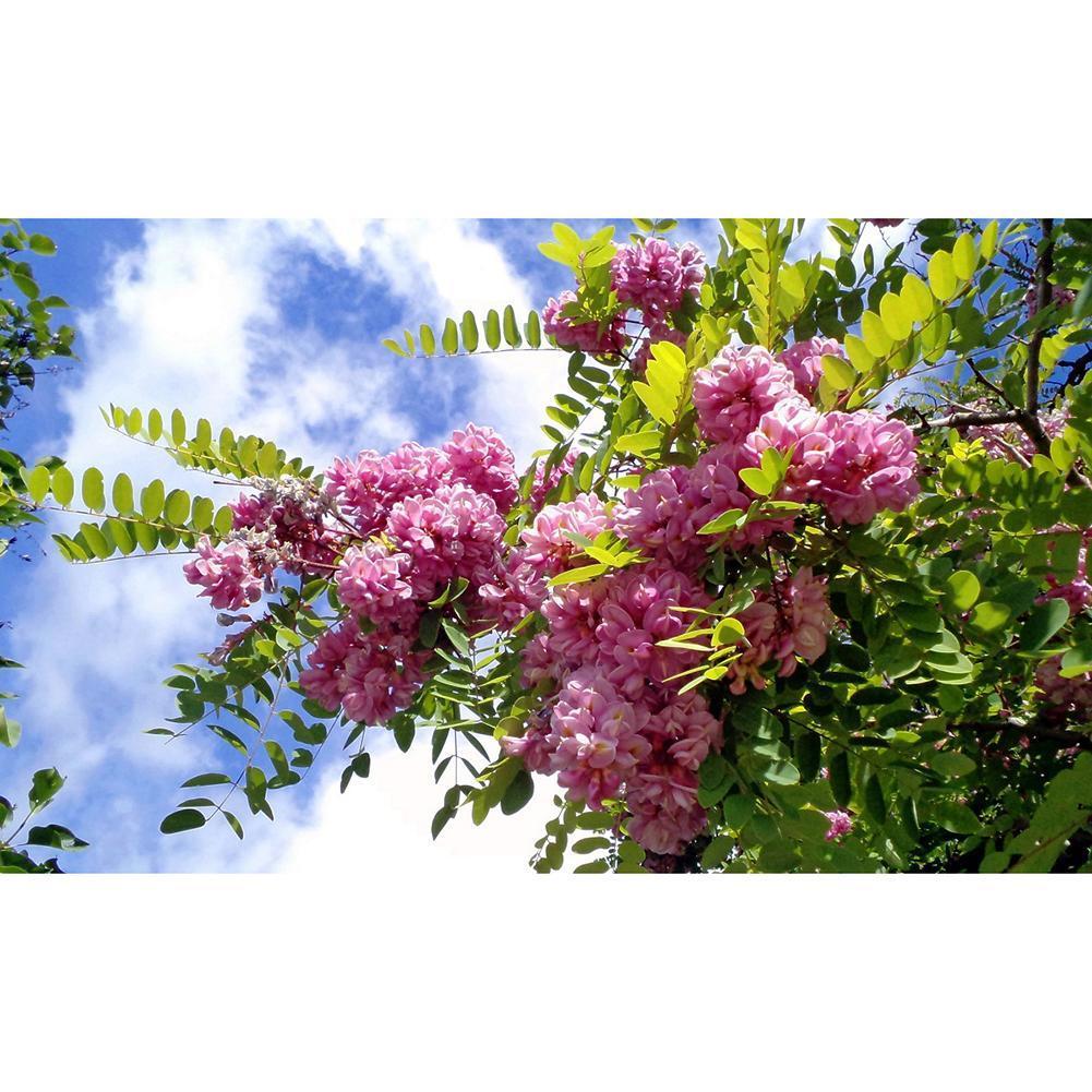 Fleurs positives - peinture en diamant complet - 40x30cm